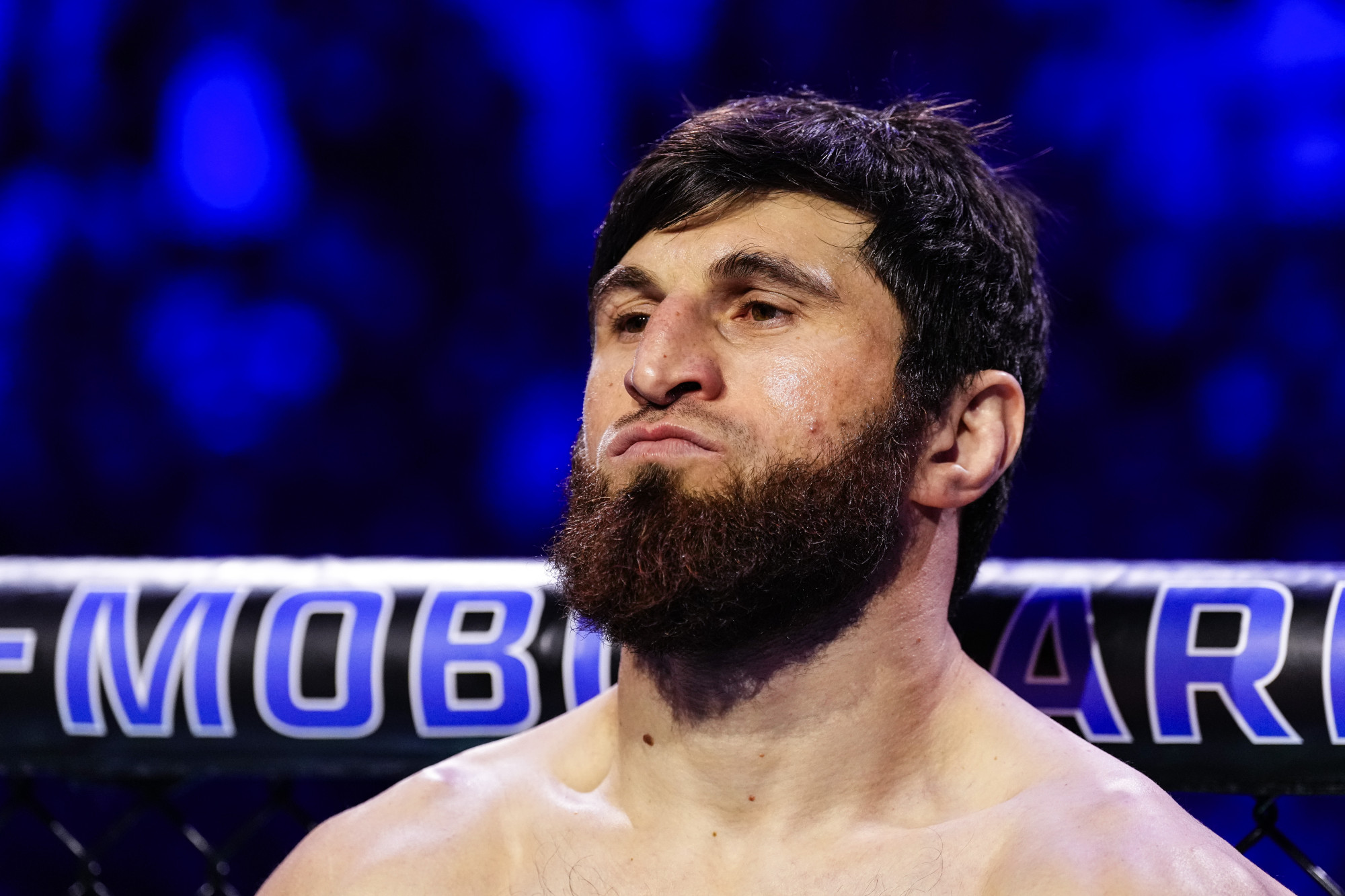 Ankalaev menedzsere szerint Prochazka lehet a „belépőjegy” a következő UFC címmérkőzéshez